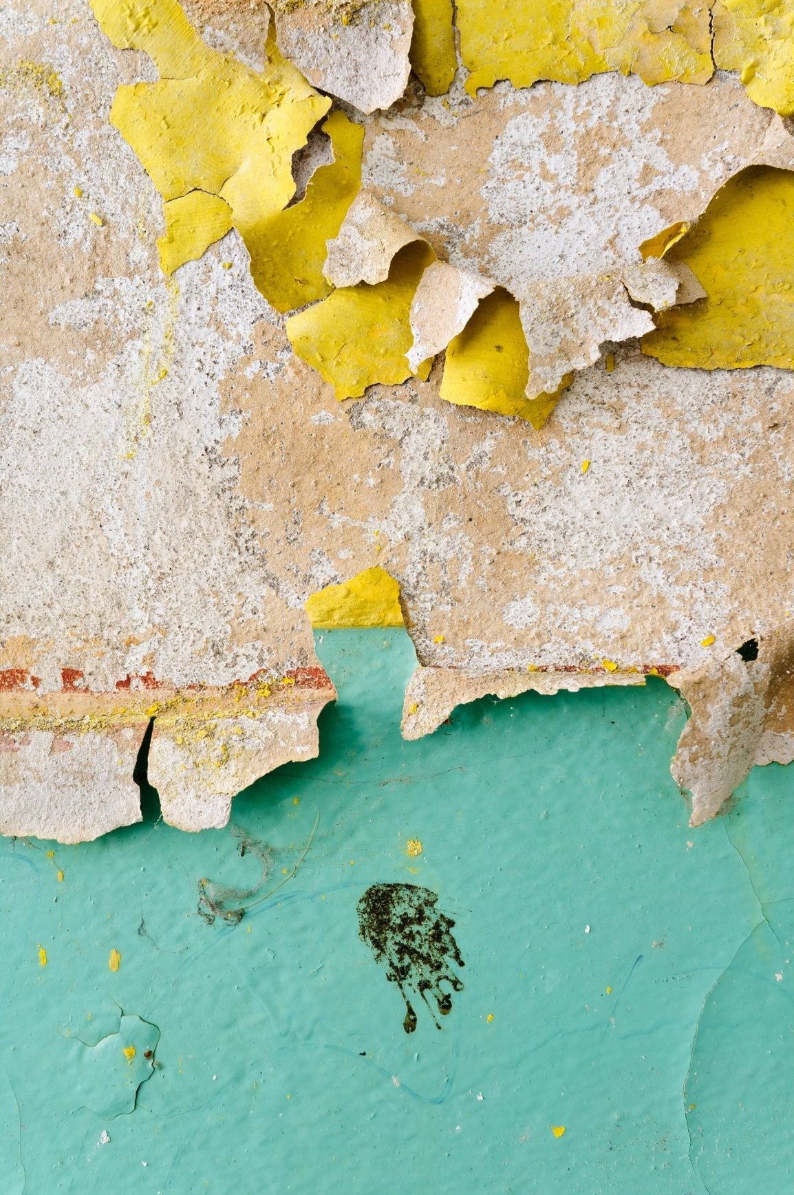 Ecaille de couche de peinture